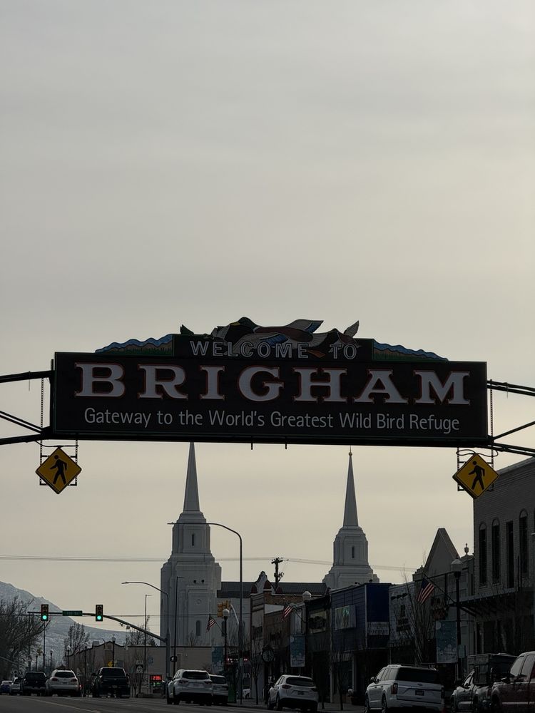 Idle Isle Fine Candies Logo