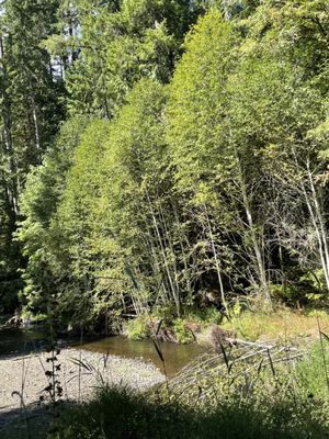 Vance Creek Railriders by null
