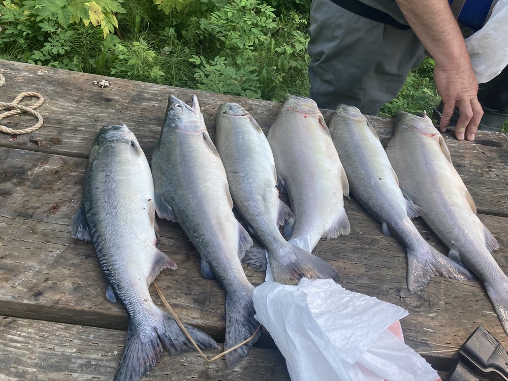 DESHKA LANDING CHARTERS & LODGE Updated August 2024 41 Photos