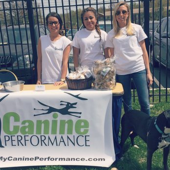 Canine Performance - Dog Walkers Near Me