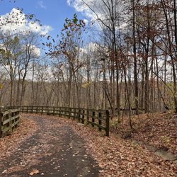 Bridge during fall season