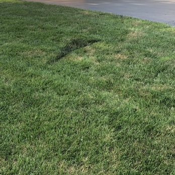 Ram Asphalt - General Contractors Near Me - St. Louis, Missouri