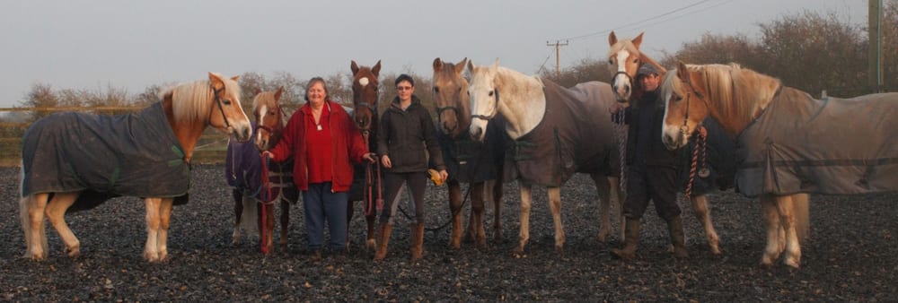 STICKNEY RIDING CENTRE - Updated December 2024 - Main Road, Boston ...