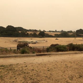 Vision Quest Ranch - The view from our room (the sky is a bit Smokey from fires) - Bed & Breakfast Near Me - Salinas, California