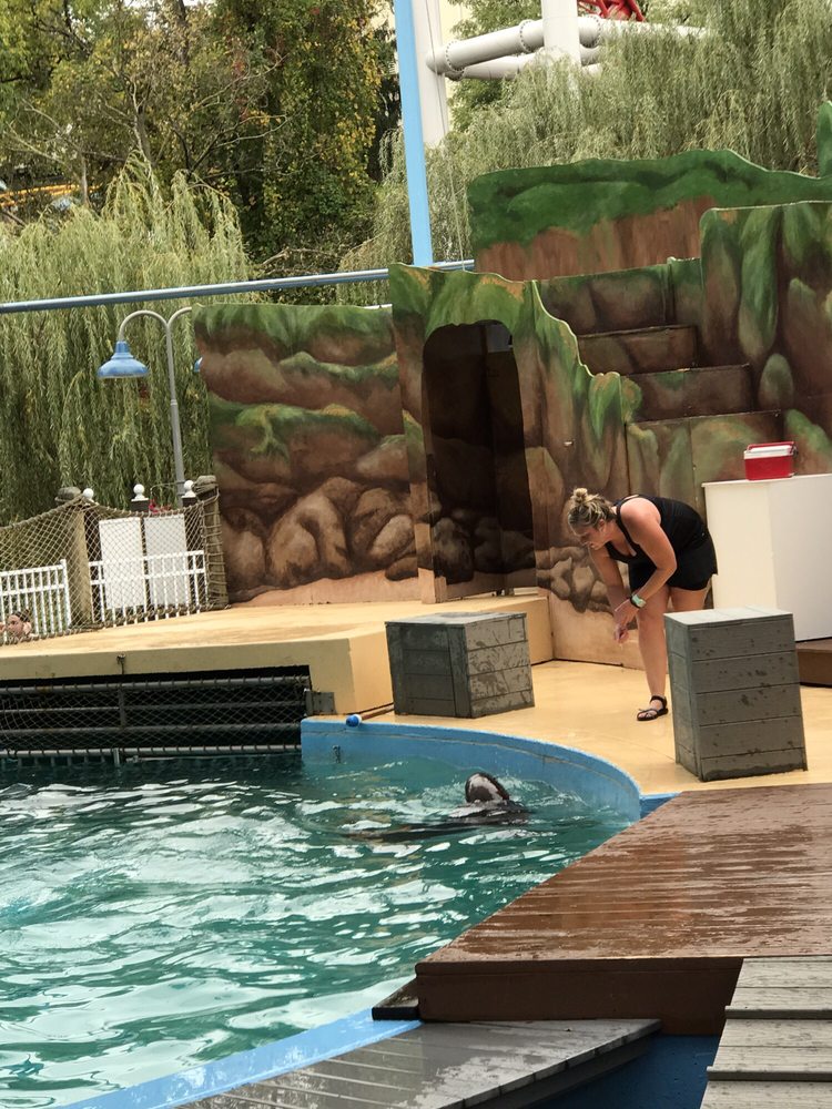 Ocean Connections - social services organization in Milwaukee, WI