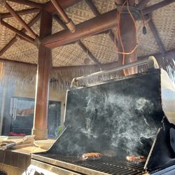 Tropicana Outdoor Living - No more bugs falling from natural thatch!