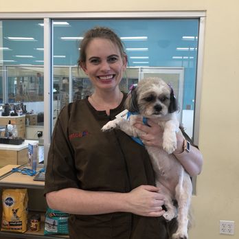 Petco - Pet Stores Near Me - Glendale, California Petco - Pet Stores Near Me - Glendale, California