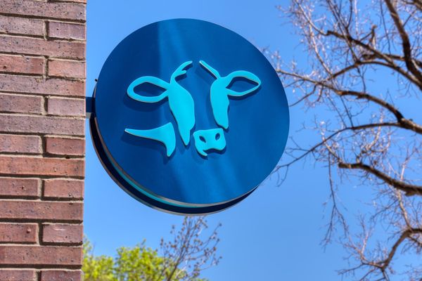 Mendocino Farms by null