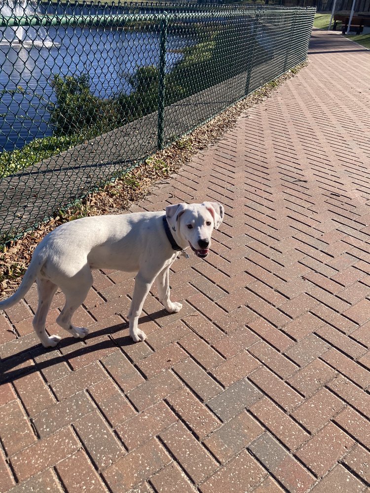 PAWS PARK AT WINGATE PARK Updated September 2024 58 Photos & 10