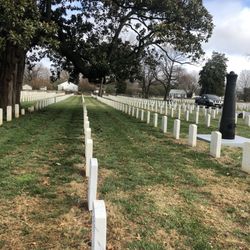 Richmond National Cemetery - Rows and rows
