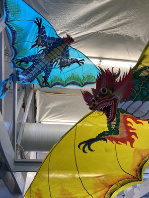 World Kite Museum & Hall-Fame by null