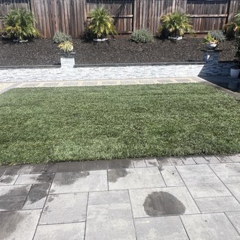 Mendoza Landscaping - Landscaping Near Me Mendoza Landscaping - Landscaping Near Me