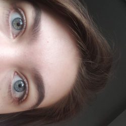 The Lash Company