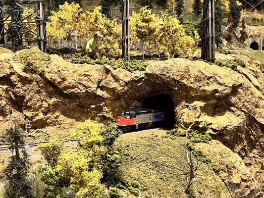 Colorado Model Railroad Museum by null