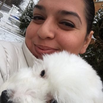 Love My Puppies - Pet Stores Near Me - Wantagh, New York