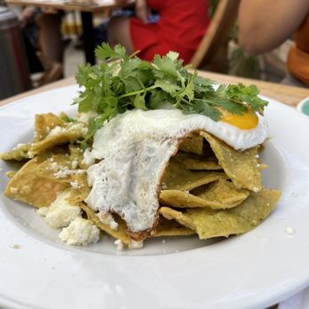 Fig Tree - Cafes Near Me - Los Angeles, California Fig Tree - Cafes Near Me - Los Angeles, California