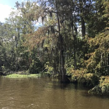 Ultimate Swamp Adventures - Pretty scenery - Tours Near Me - Westwego, Louisiana Ultimate Swamp Adventures - Pretty scenery - Tours Near Me - Westwego, Louisiana
