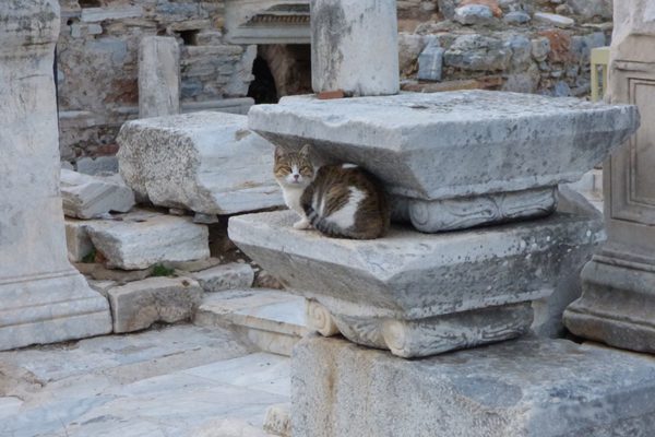 Ephesus Archaeological Site by null Ephesus Archaeological Site by null