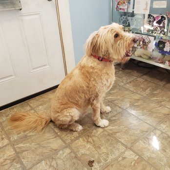Furkids Pet Grooming - Pet Groomers Near Me - Glen Burnie, Maryland Furkids Pet Grooming - Pet Groomers Near Me - Glen Burnie, Maryland