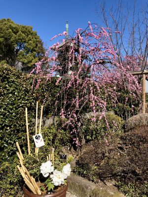 Ueno Toshogu Shrine by null
