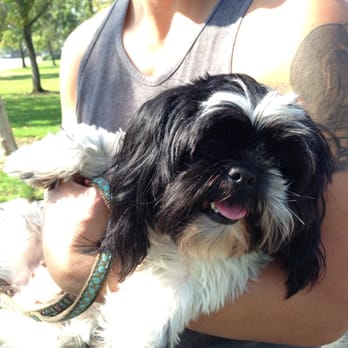 Victoria Groves Park - Pick up after your dog - Parks Near Me - Rancho Cucamonga, California