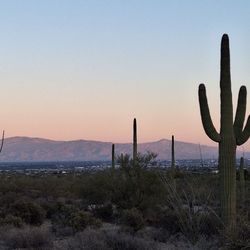 Sweetwater Preserve - View toward downtown Tucson from Red Tail loop trail