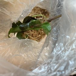 Pho Saigon - Bean sprouts that came with my pho.