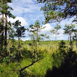 Naturreservat Kornamossen