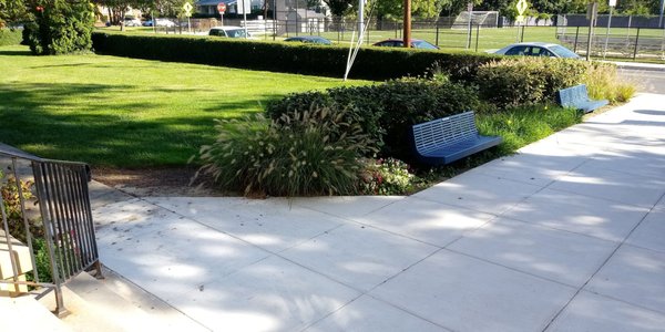 Washington Adventist University by null