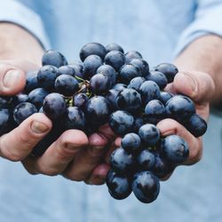 KLW Travels - Contact KLW TRAVELS to get your perfect 5 day wine itinerary in California
