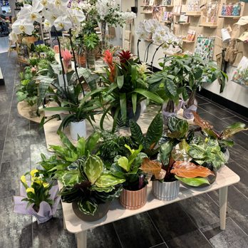 FloretCo - Gift Shops Near Me - Chicago, Illinois