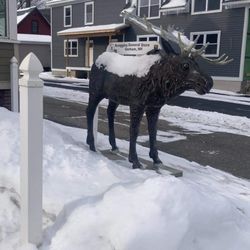 Scoggins General Store - Moose in front of store