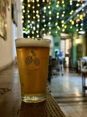 Bierlife by null