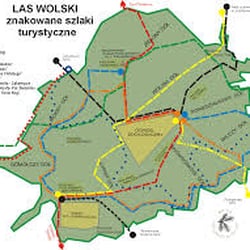 Las Wolski - Las Wolski