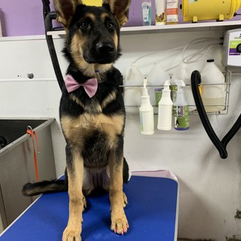 PetMe Haslet - Pet Groomers Near Me - Haslet, Texas