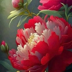 Europa Fragrances Flowers