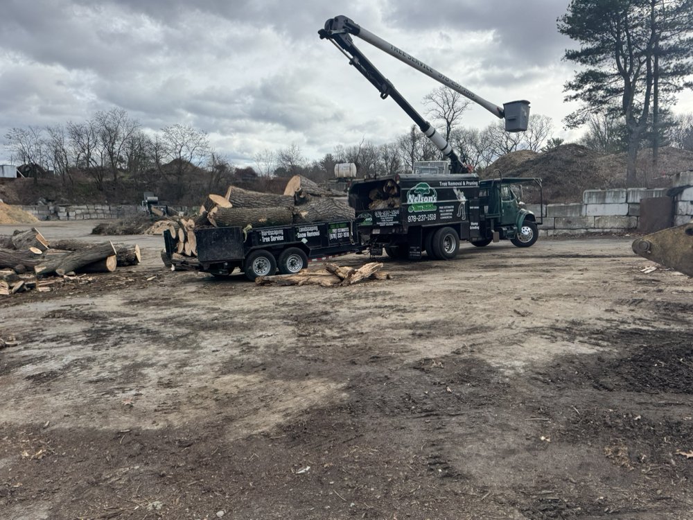 Nelson's Hardscape & Tree Service - tree service in Burlignton , MA