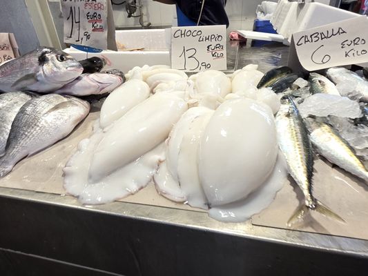 Mercado Central de Abastos de Cádiz by null