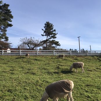 Kelsey Creek Farm Park - Venues & Event Spaces Near Me - Bellevue, Washington
