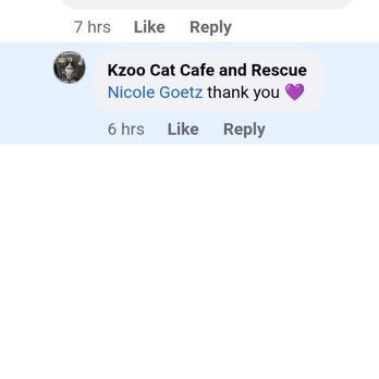 Kzoo Cat Cafe - Themed Cafes Near Me - Kalamazoo, Michigan Kzoo Cat Cafe - Themed Cafes Near Me - Kalamazoo, Michigan