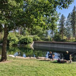Falls Park