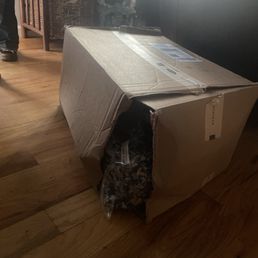 Shipment delivered like this. Missing two items. Probably fell out of the box considering the tape was ripped. Disgusted Shipment delivered like this. Missing two items. Probably fell out of the box considering the tape was ripped. Disgusted