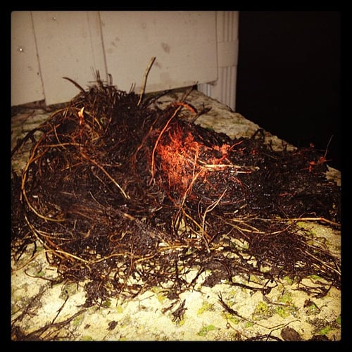 Slide of Priority Plumbing and Heating - Northern Colorado