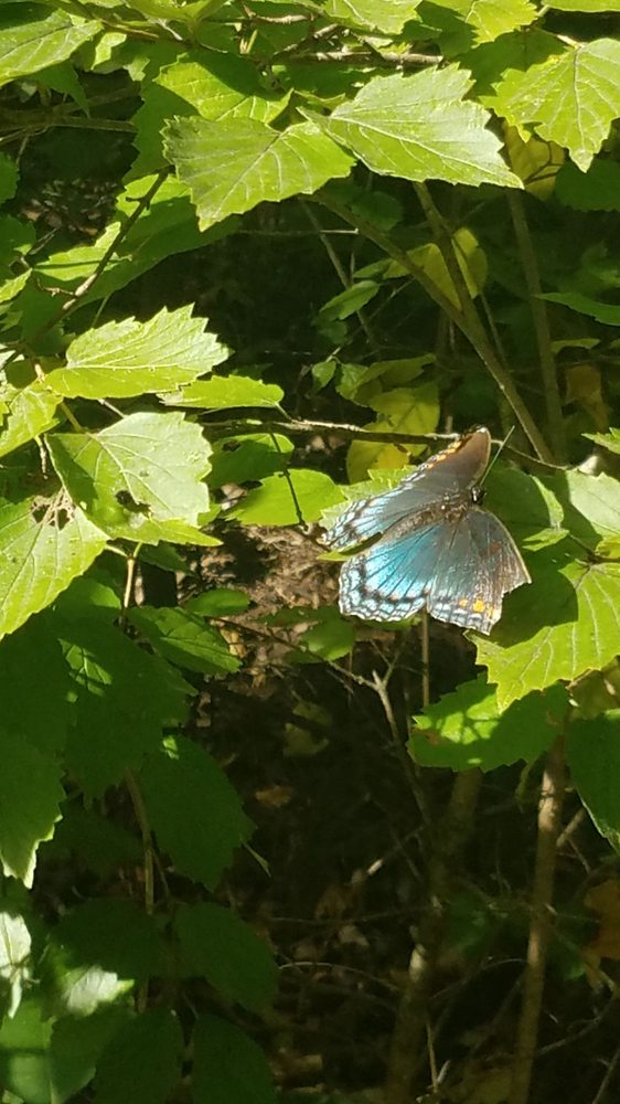 STONEY RUN COUNTY PARK 26 Photos 9230 E 142nd Ave, Hebron, Indiana