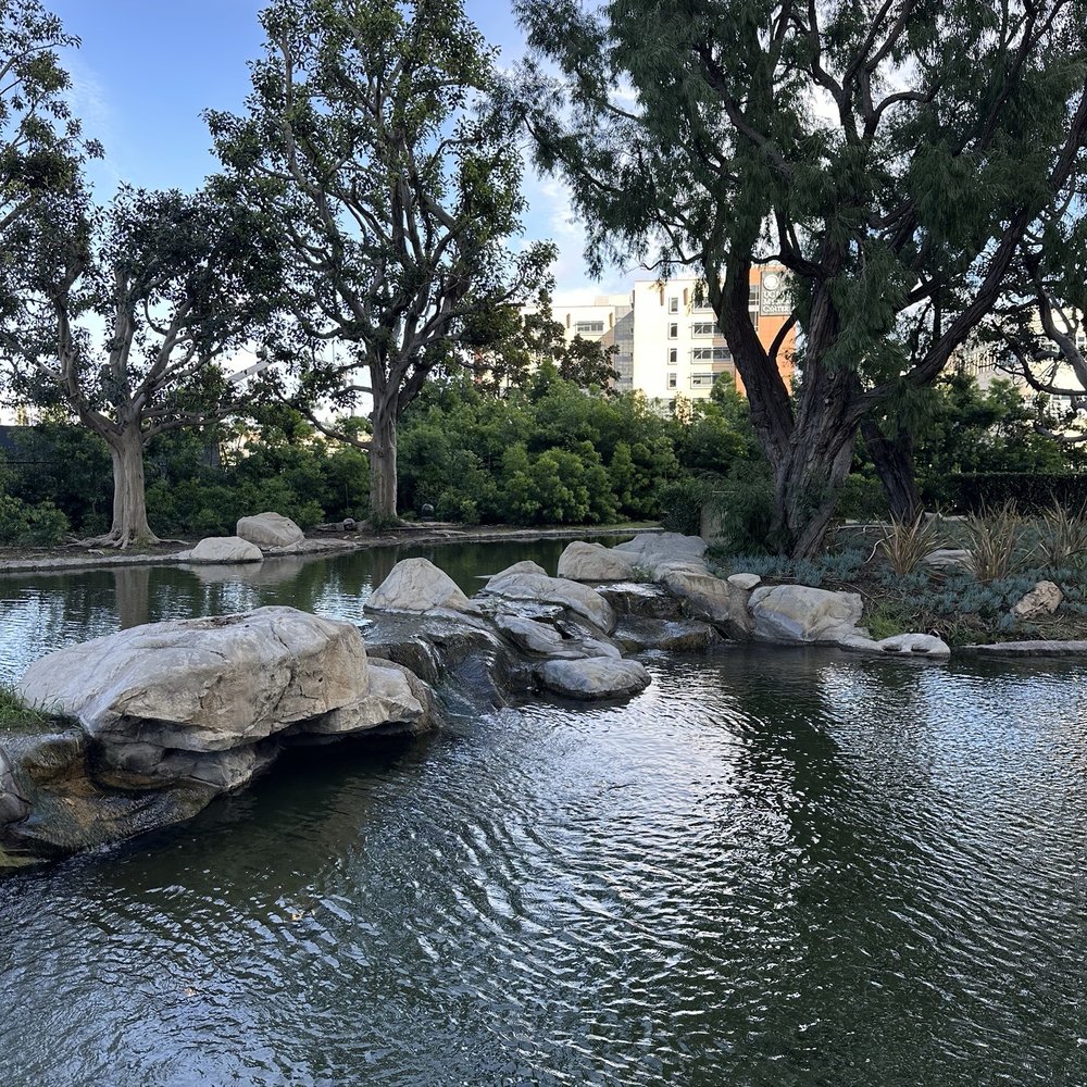 Hotel Fera Anaheim, a DoubleTree by Hilton - Hotels Near Me - Orange, California Hotel Fera Anaheim, a DoubleTree by Hilton - Hotels Near Me - Orange, California