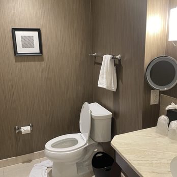 Sheraton McKinney Hotel - Hotels Near Me - McKinney, Texas