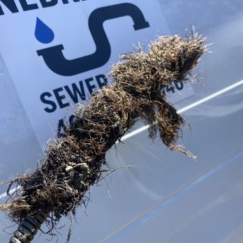 Nebraska Sewer & Drain - Tree Roots - Plumbing Near Me Nebraska Sewer & Drain - Tree Roots - Plumbing Near Me