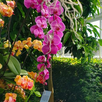 Enid A Haupt Conservatory - 3/30/2026 - Botanical Gardens Near Me - The Bronx, New York