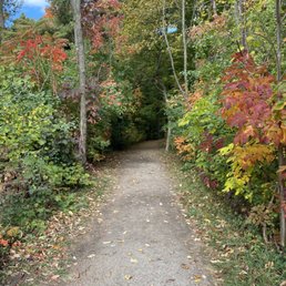 Path through park