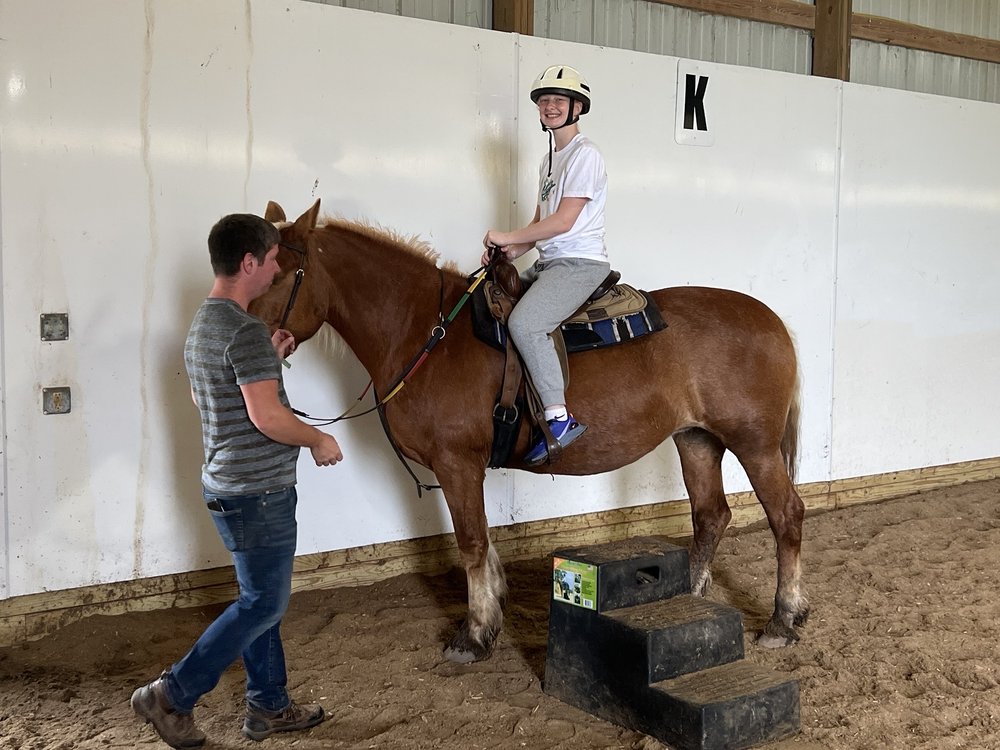 Never Ending Farm - equestrian in Ypsilanti, MI